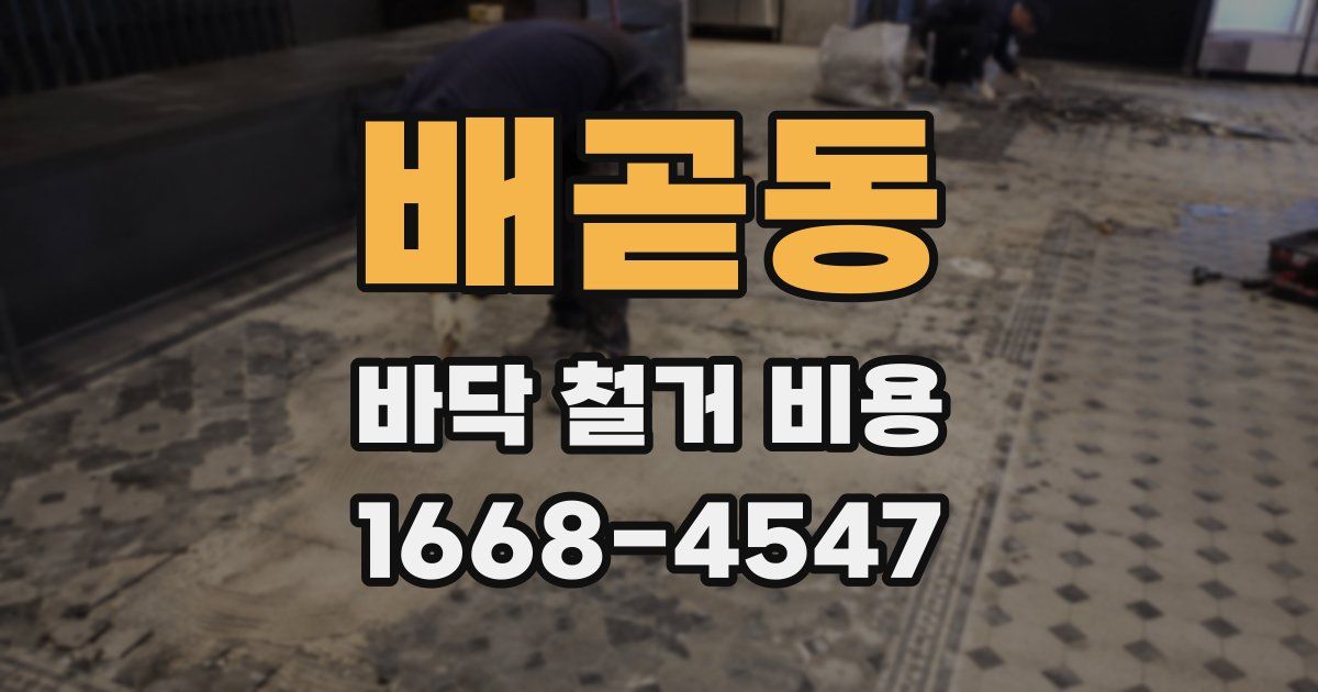 배곧동 바닥 철거 비용