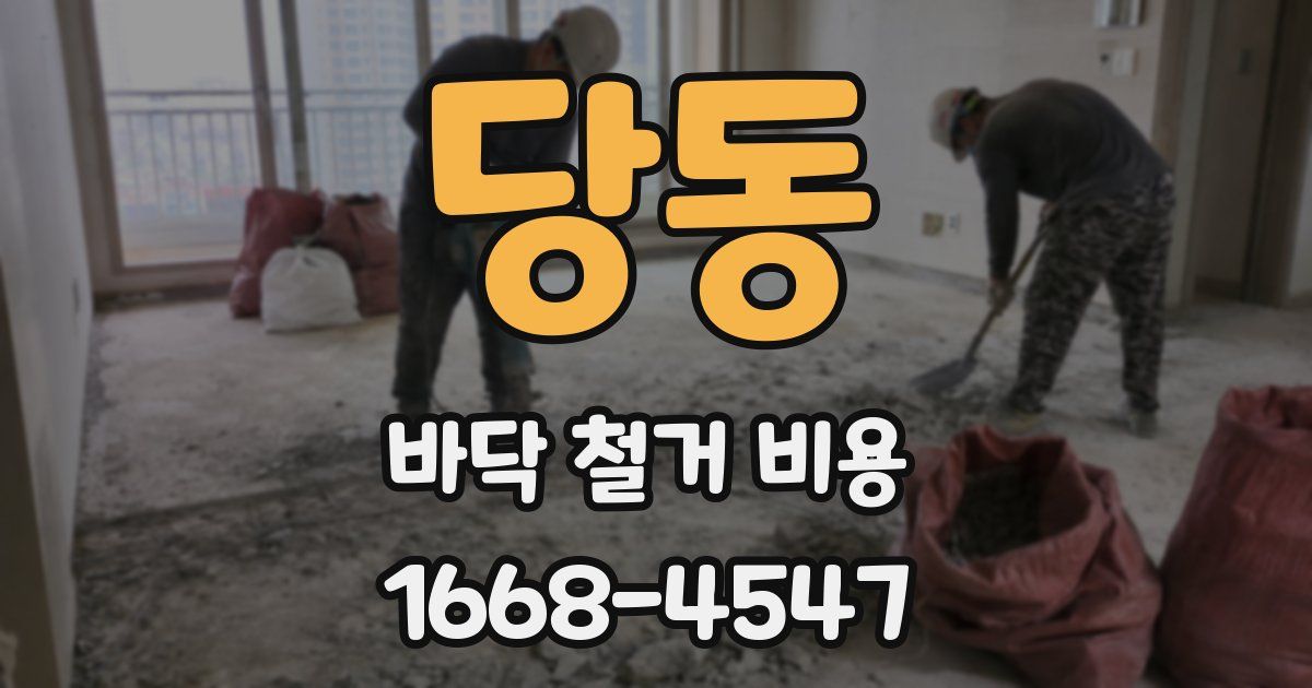 당동 바닥 철거 비용