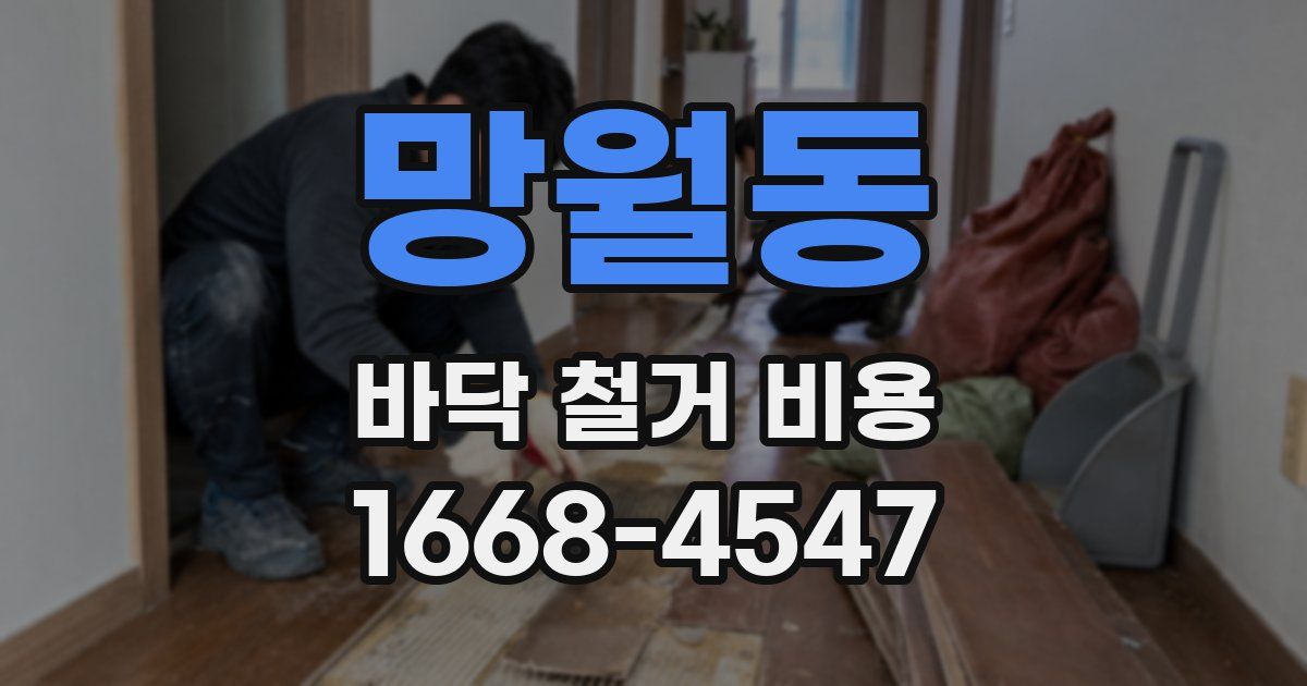 망월동 바닥 철거 비용
