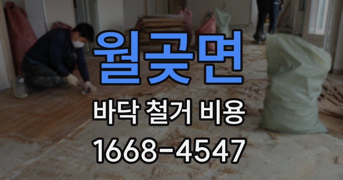 월곶면 바닥 철거 비용