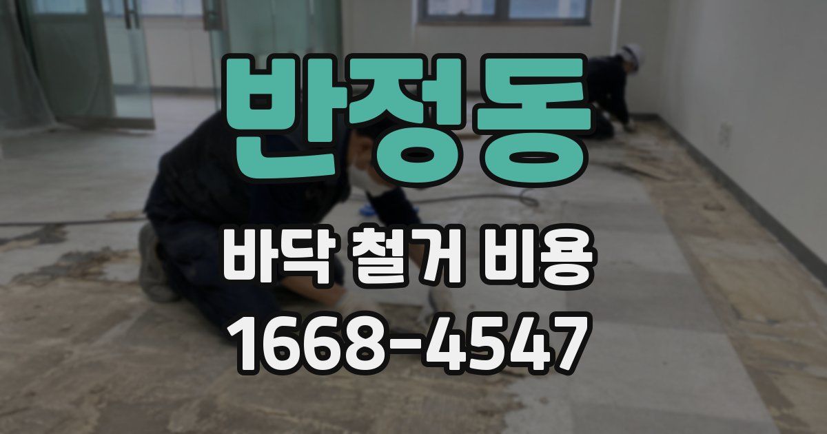 반정동 바닥 철거 비용