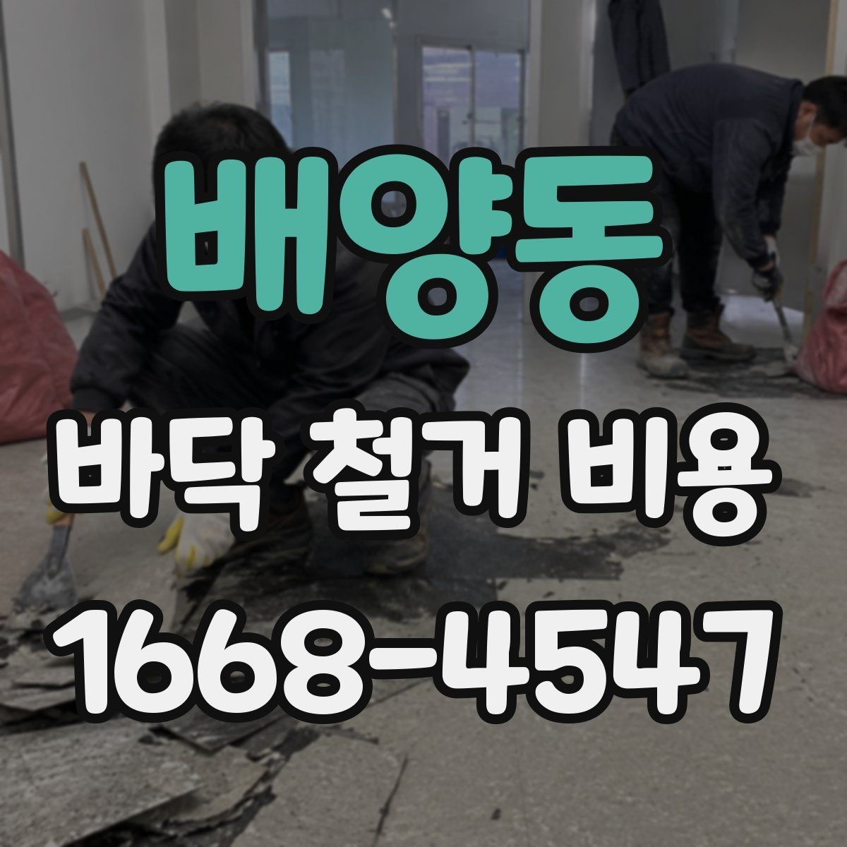 배양동 바닥 철거 비용 산정에 쓰이는 기본 기준