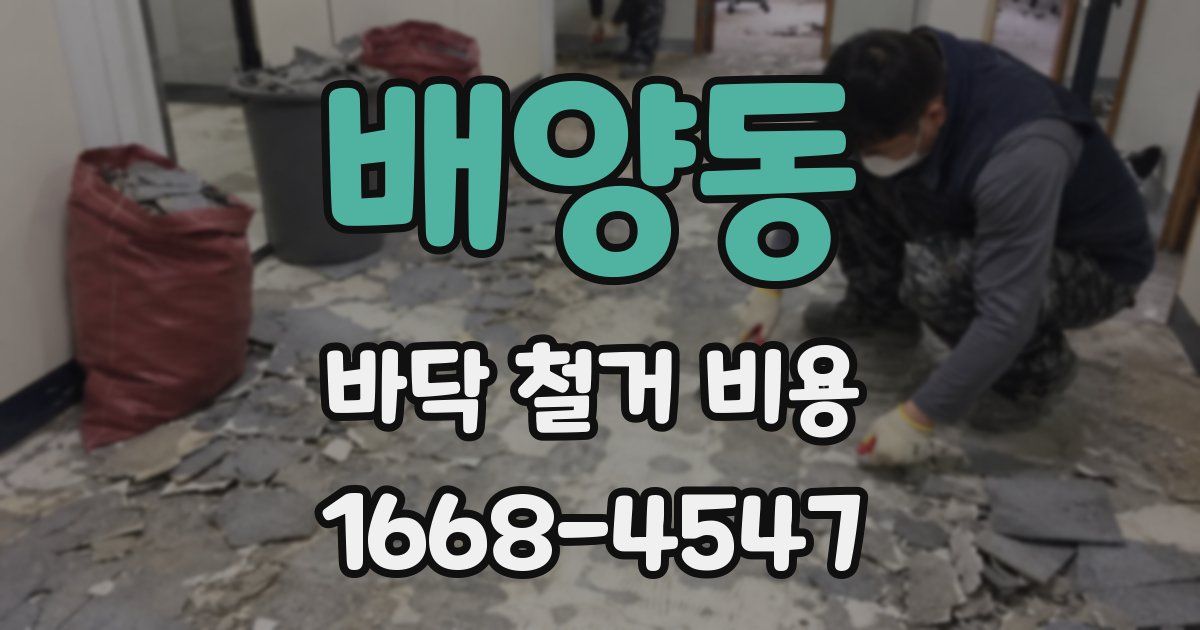 배양동 바닥 철거 비용