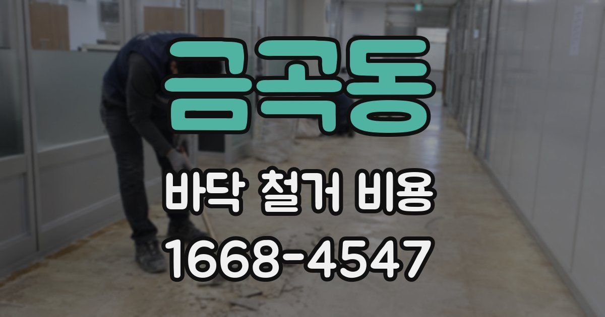 금곡동 바닥 철거 비용