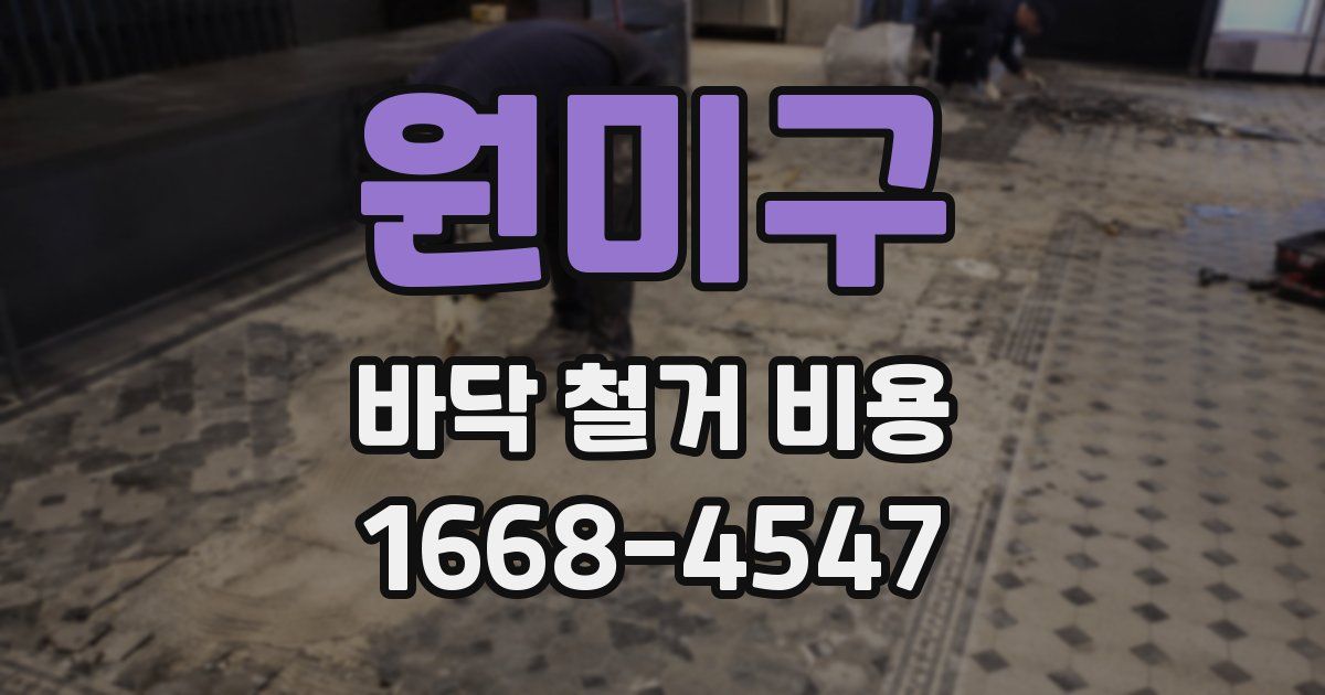 원미구 바닥 철거 비용