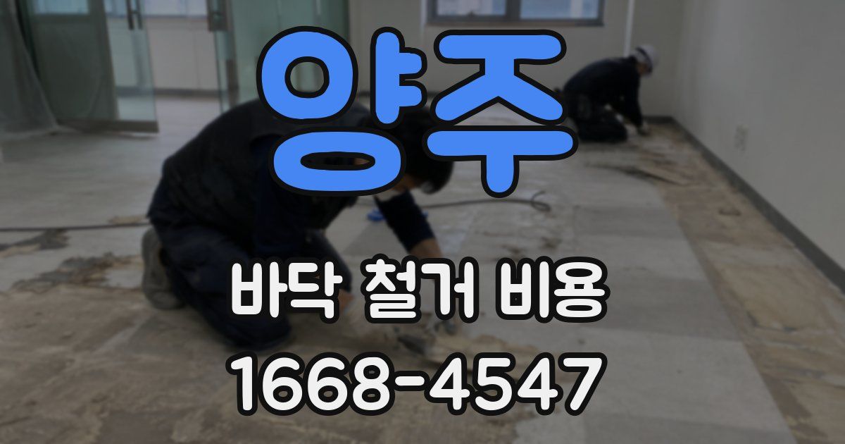 양주 바닥 철거 비용