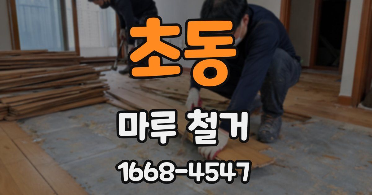 초동 마루 철거