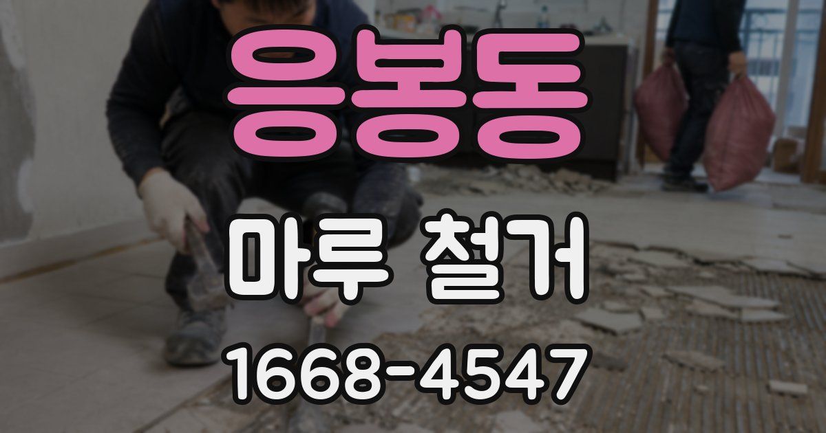 응봉동 마루 철거