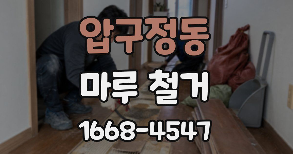 압구정동 마루 철거