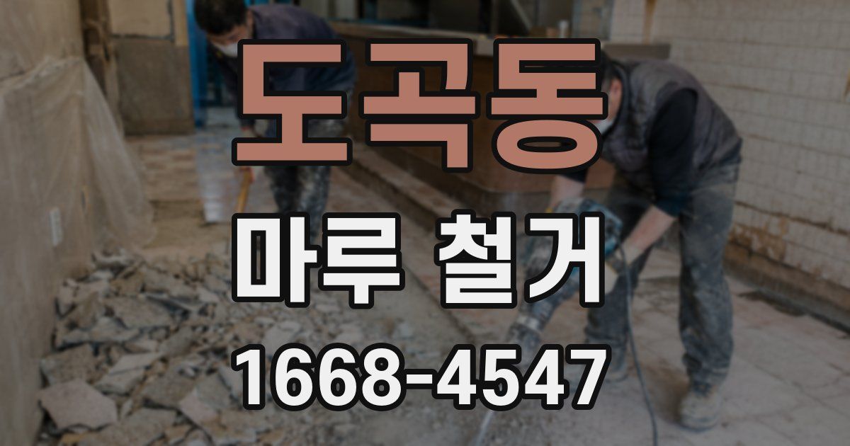 도곡동 마루 철거