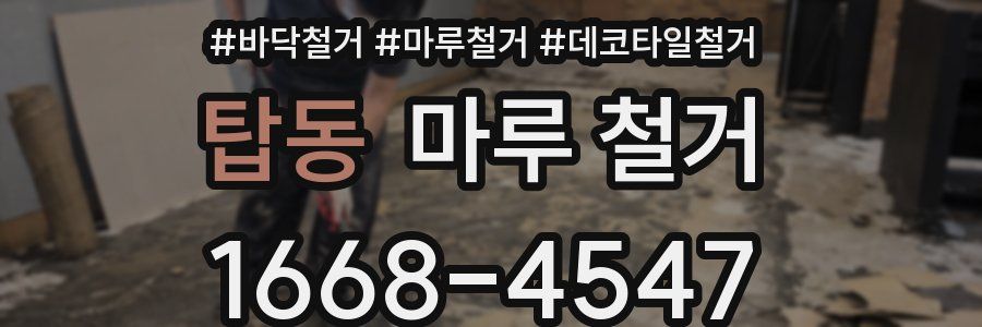 탑동 마루 철거