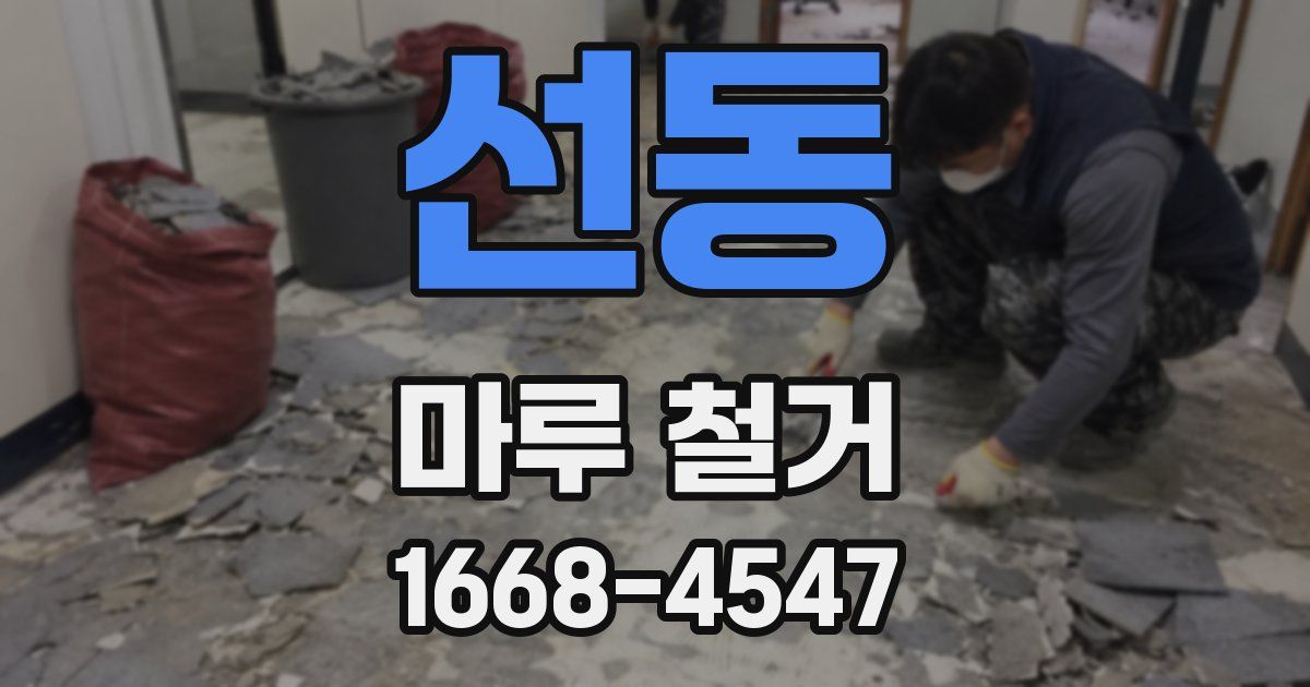 선동 마루 철거