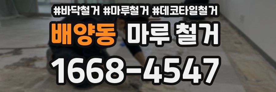 배양동 마루 철거