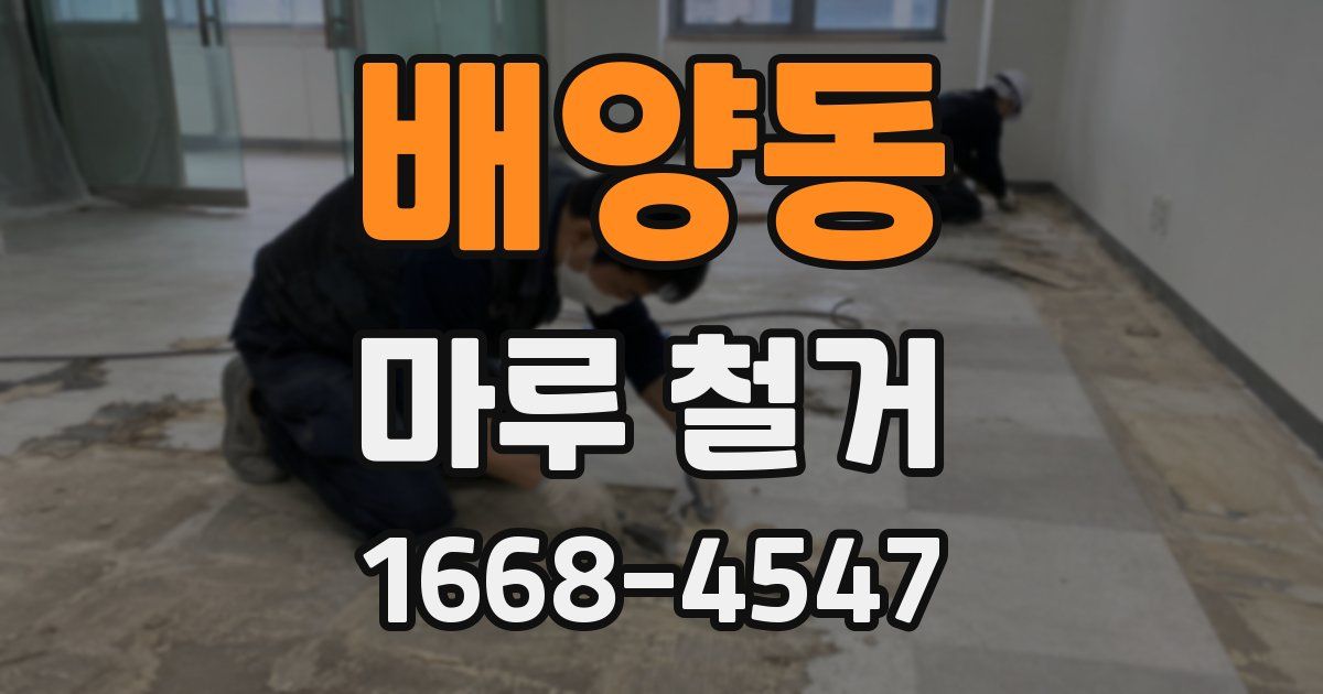 배양동 마루 철거
