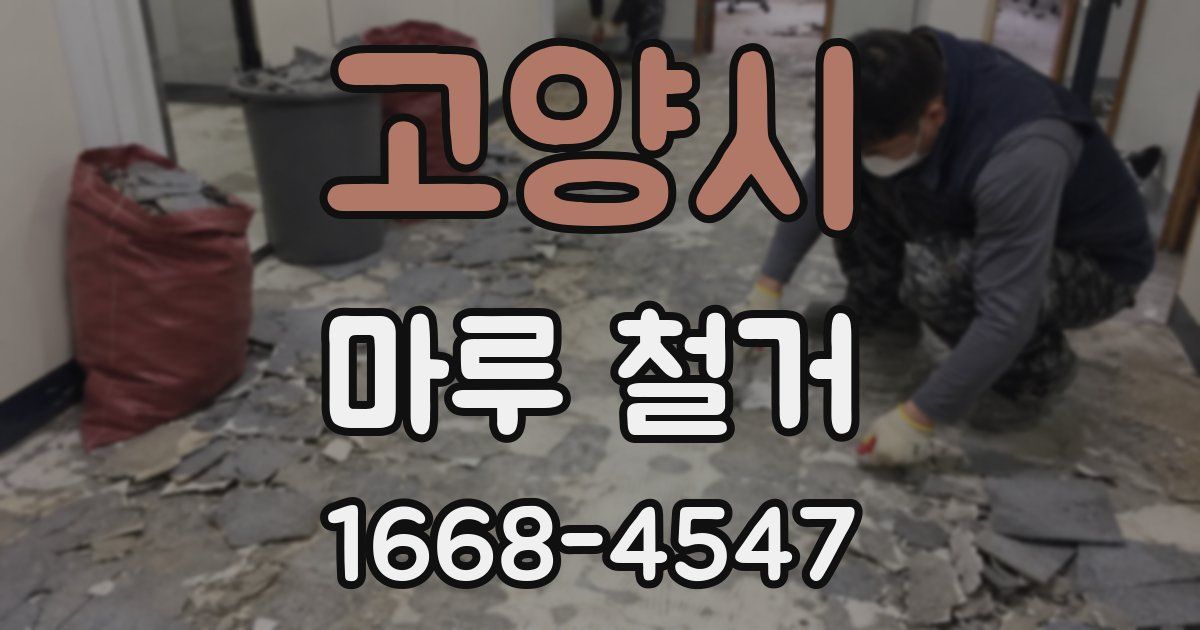 고양시 마루 철거