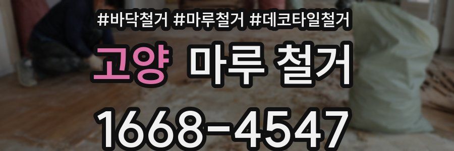 고양 마루 철거