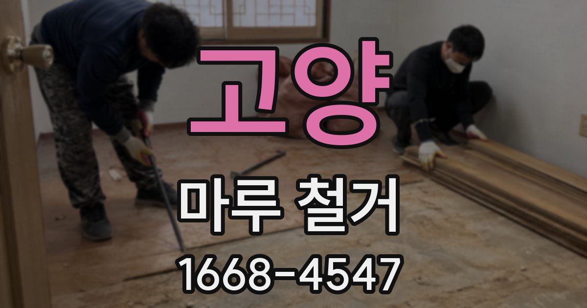 고양 마루 철거