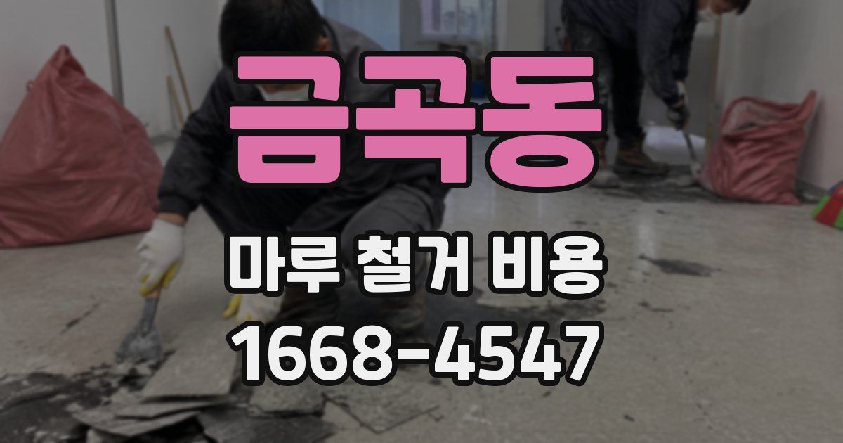 금곡동 마루 철거 비용