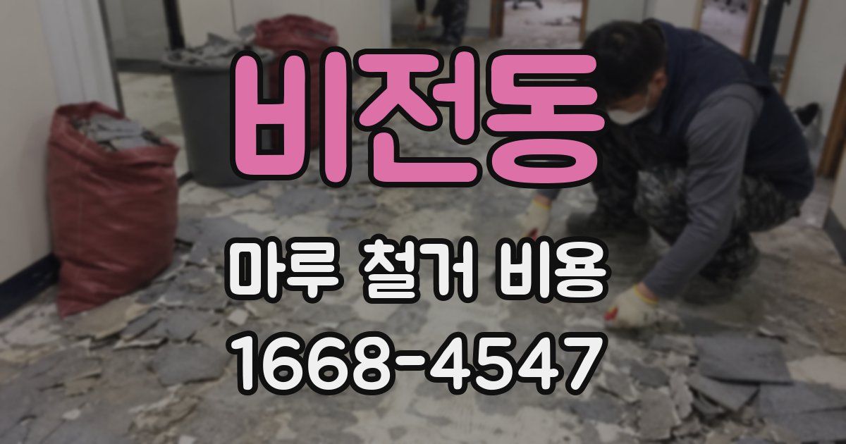 비전동 마루 철거 비용