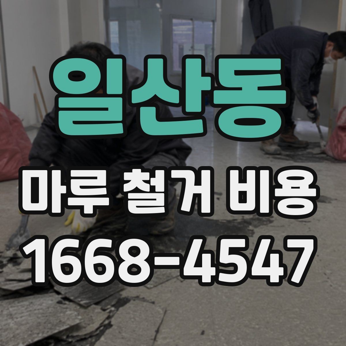 일산동 마루 철거 비용 알아보기