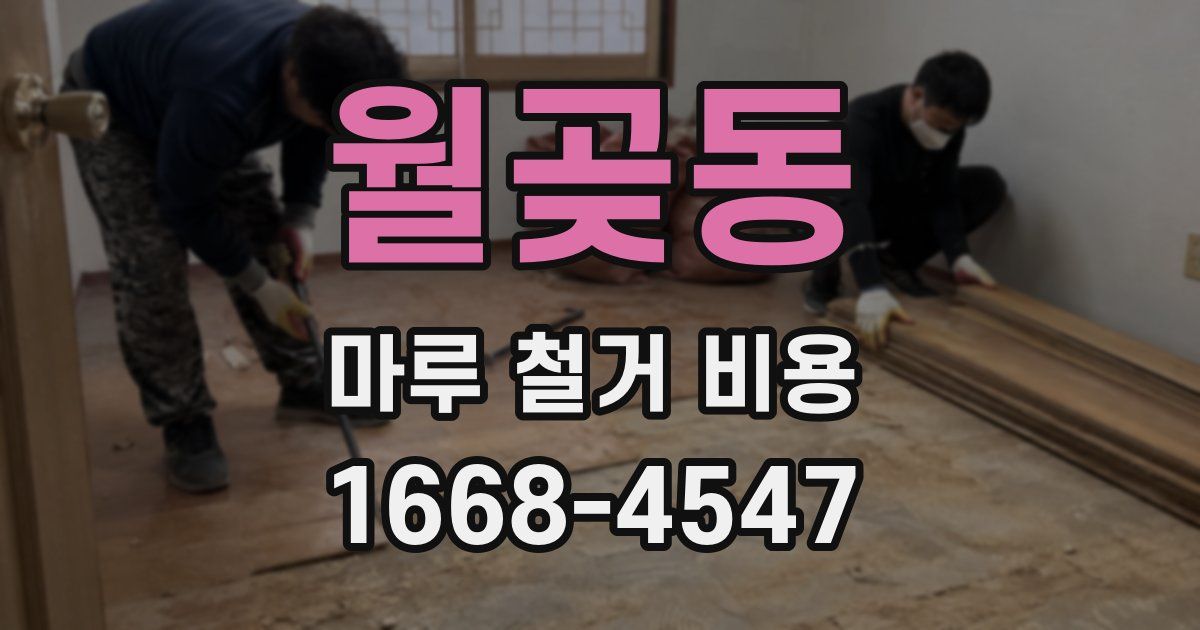 월곶동 마루 철거 비용