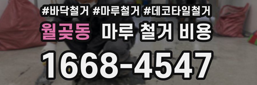 월곶동 마루 철거 비용