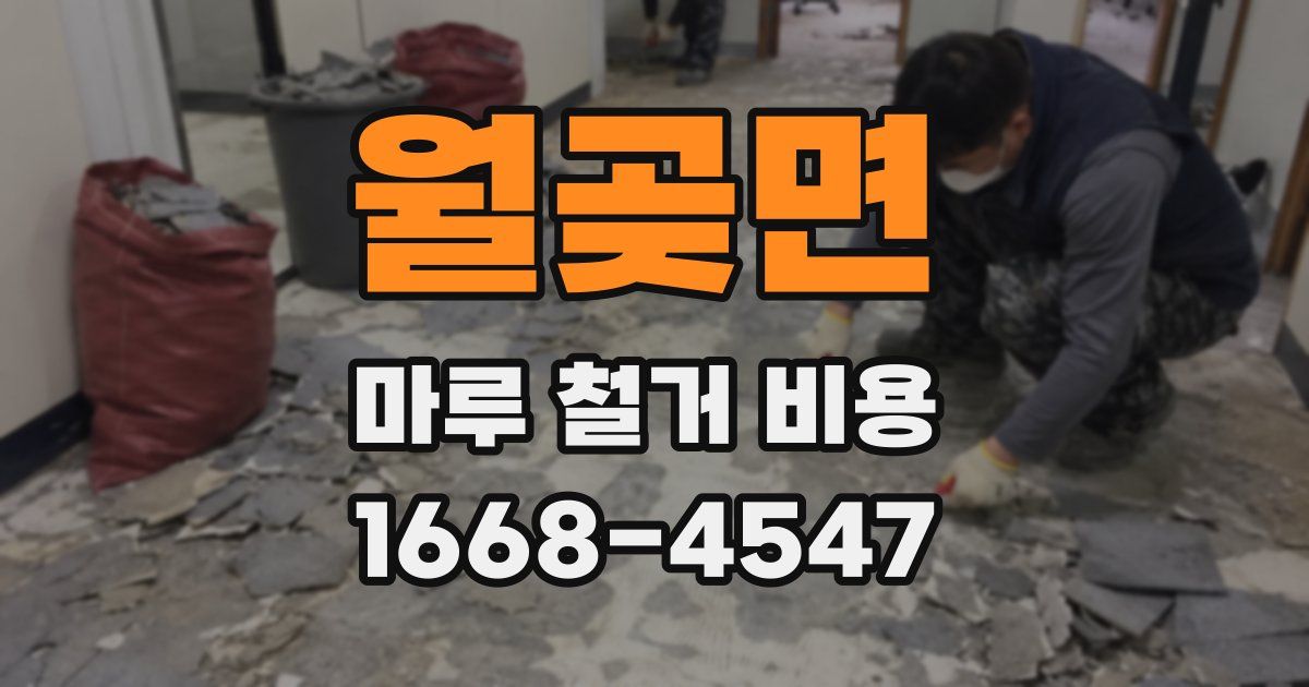 월곶면 마루 철거 비용