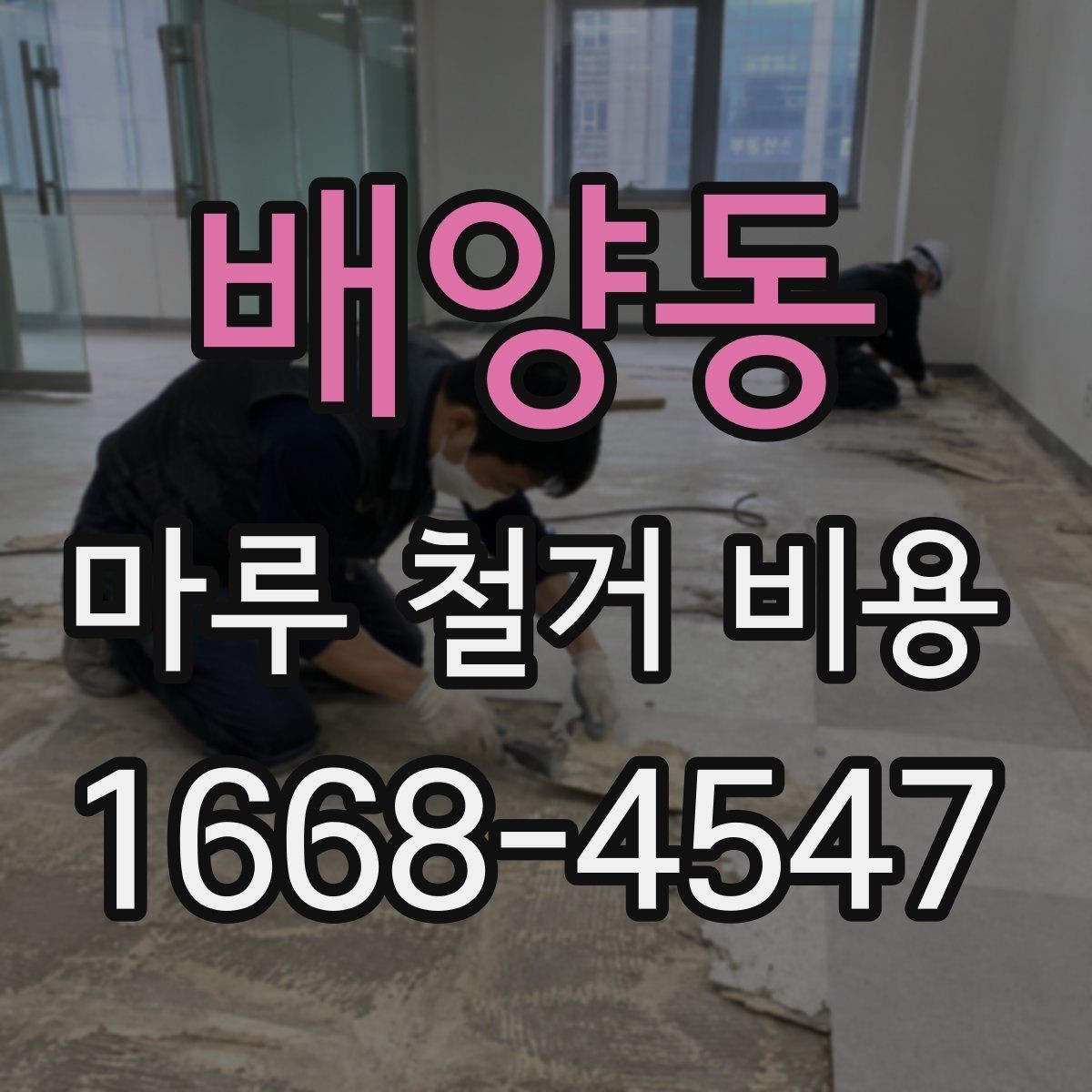배양동 마루 철거 비용 견적에서 비교해야 할 핵심 기준