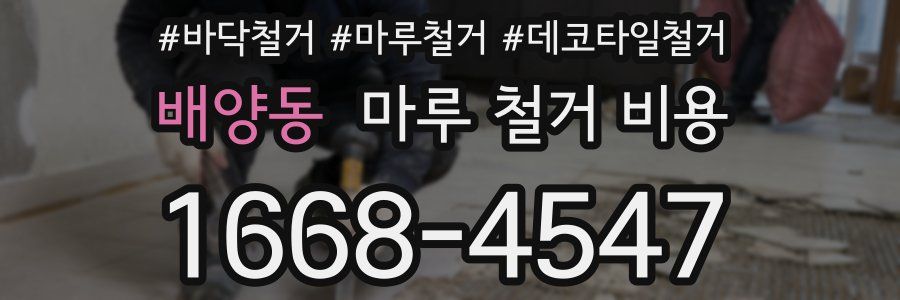 배양동 마루 철거 비용