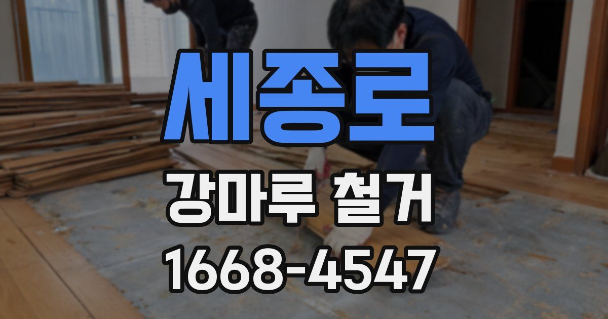 세종로 강마루 철거