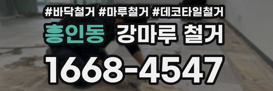 흥인동 강마루 철거
