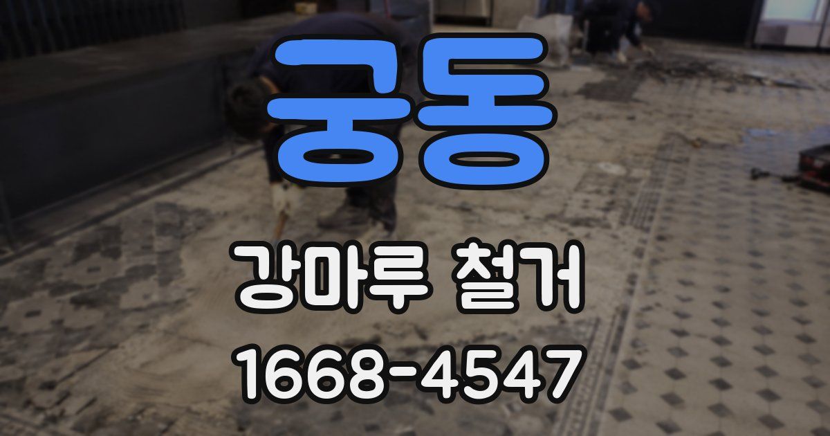 궁동 강마루 철거