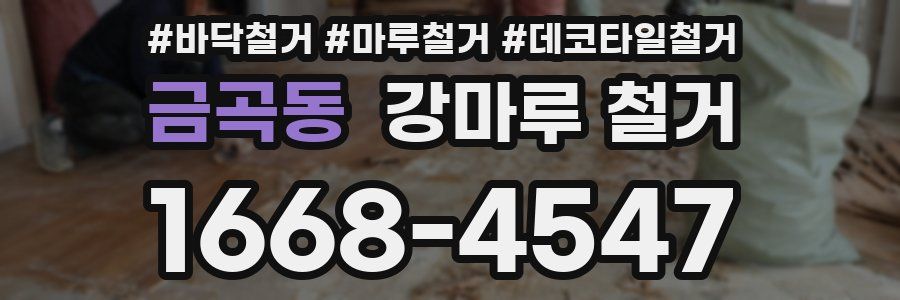 금곡동 강마루 철거