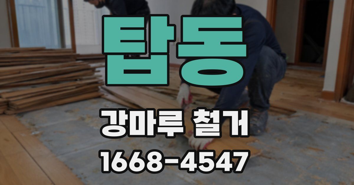 탑동 강마루 철거