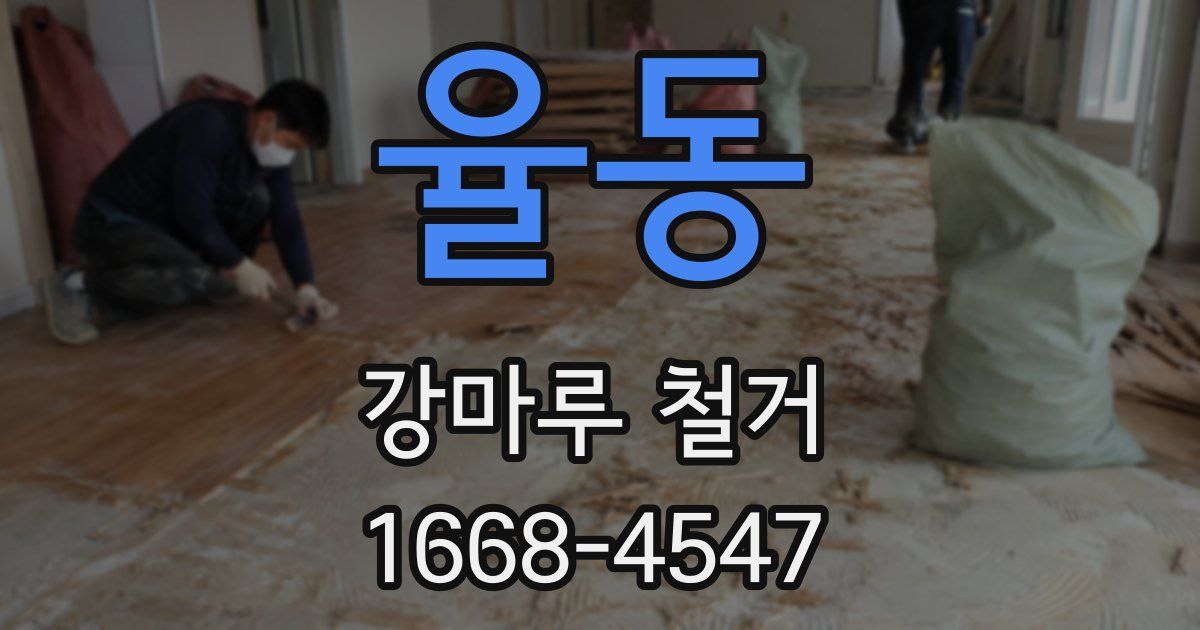 율동 강마루 철거