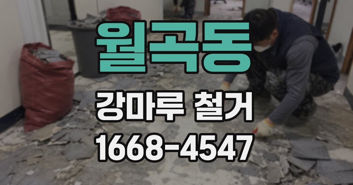 월곡동 강마루 철거