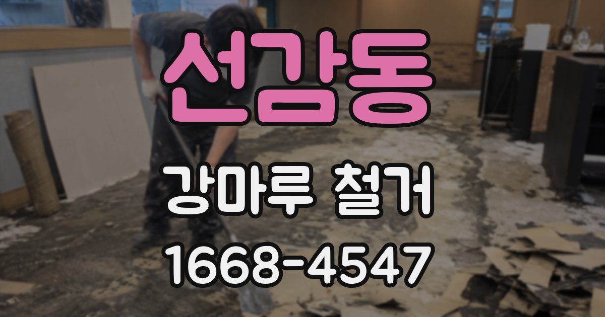 선감동 강마루 철거
