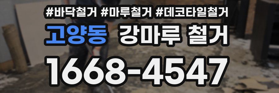 고양동 강마루 철거
