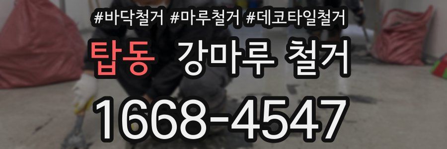 탑동 강마루 철거
