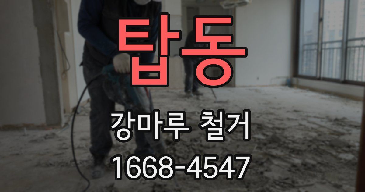 탑동 강마루 철거
