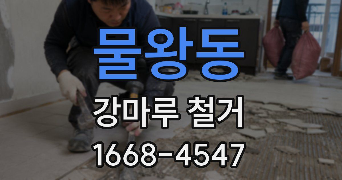 물왕동 강마루 철거