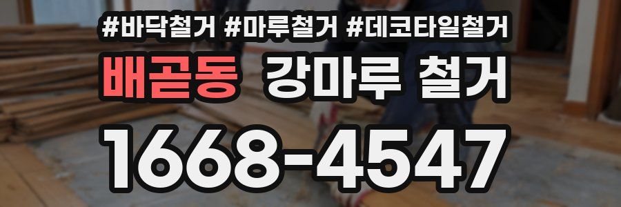배곧동 강마루 철거