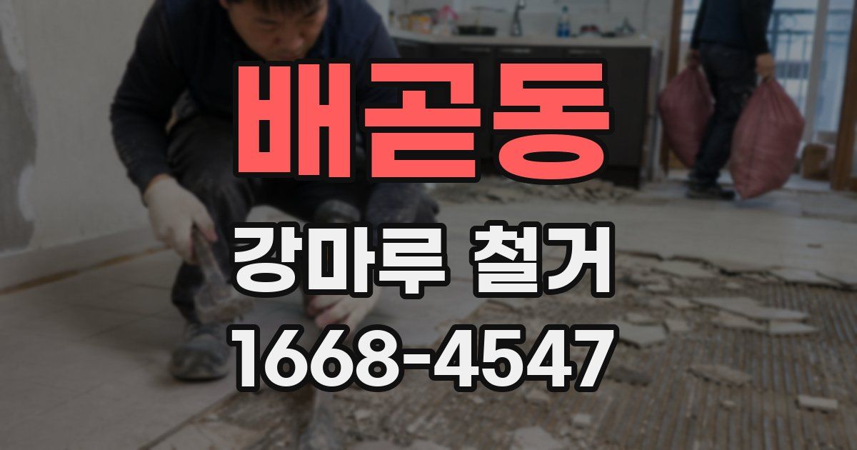 배곧동 강마루 철거