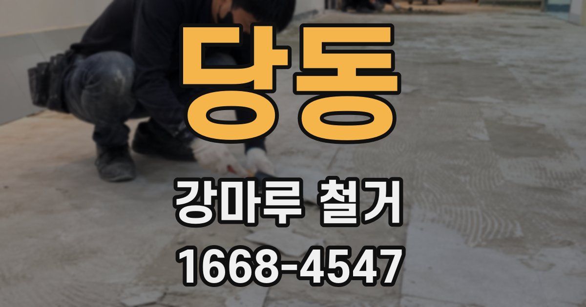 당동 강마루 철거