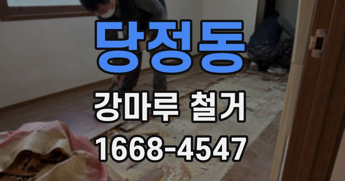 당정동 강마루 철거