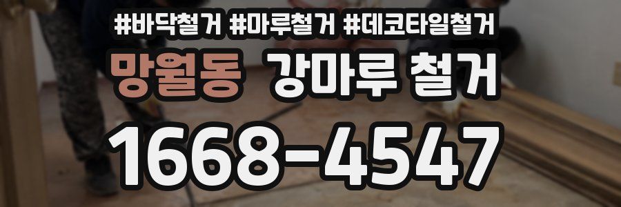 망월동 강마루 철거