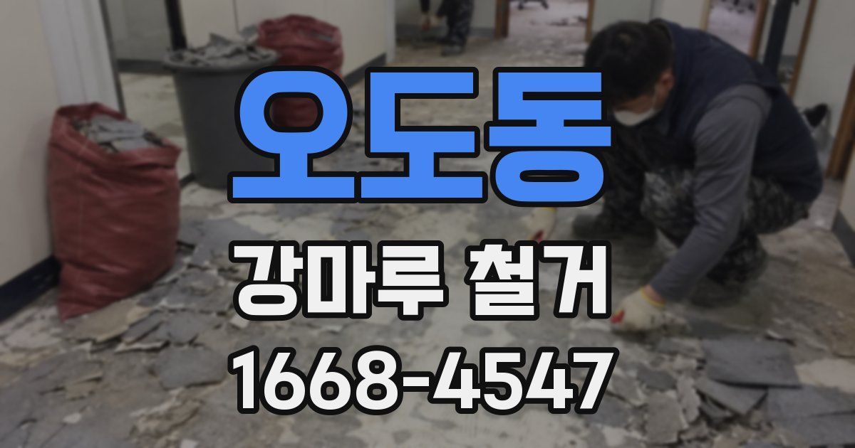 오도동 강마루 철거