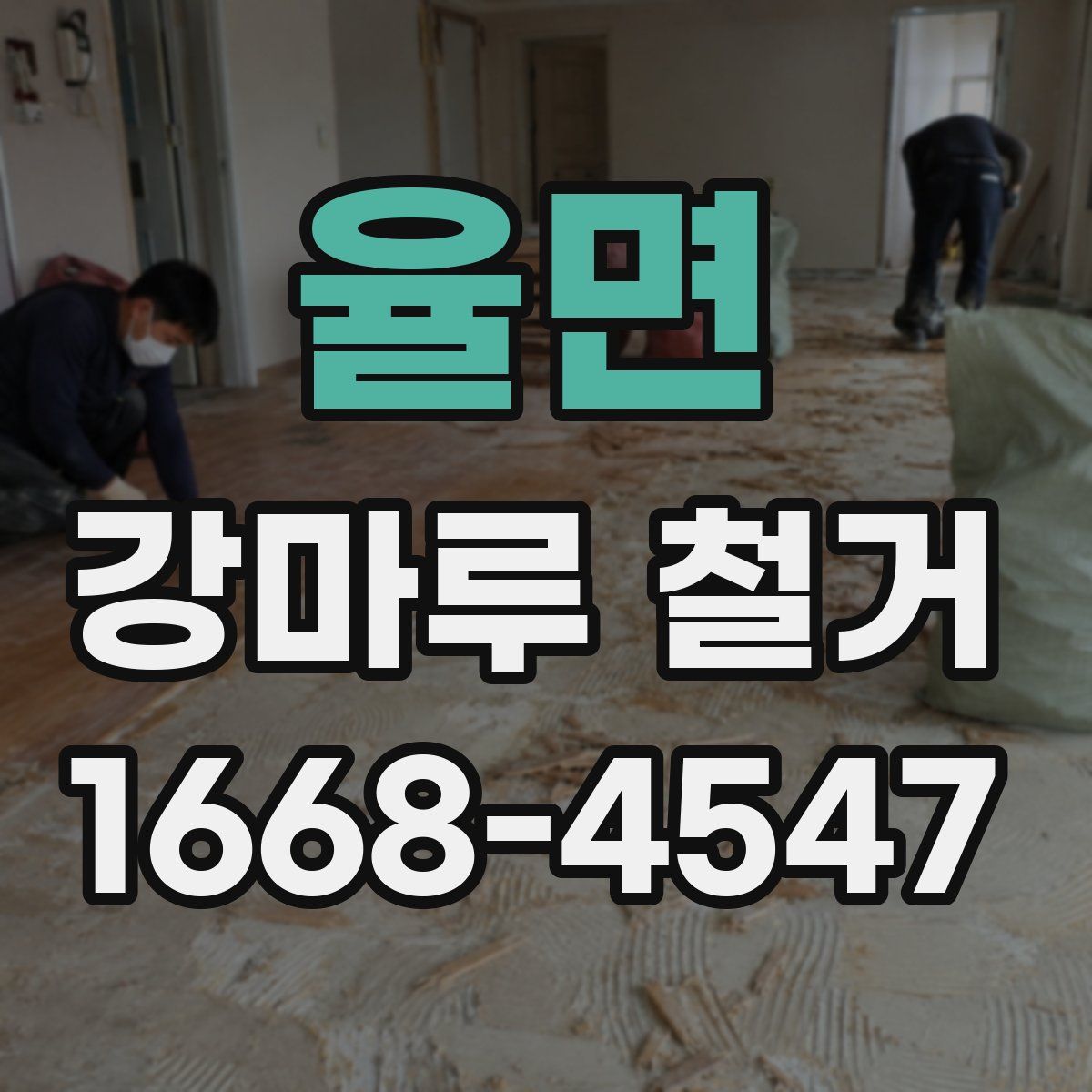 율면 강마루 철거