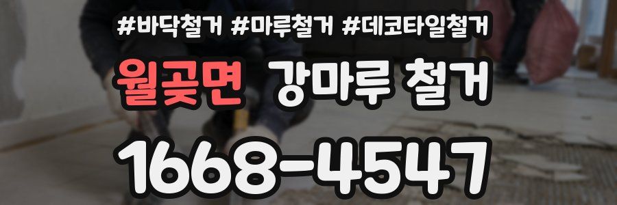 월곶면 강마루 철거
