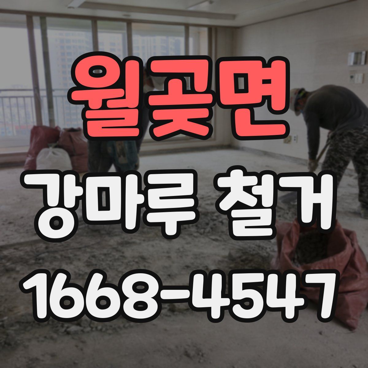 월곶면 강마루 철거
